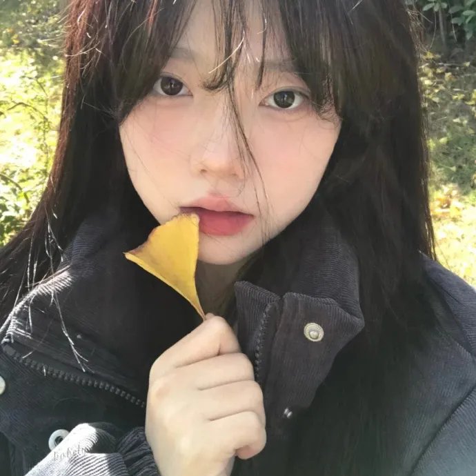 菜鸟先生